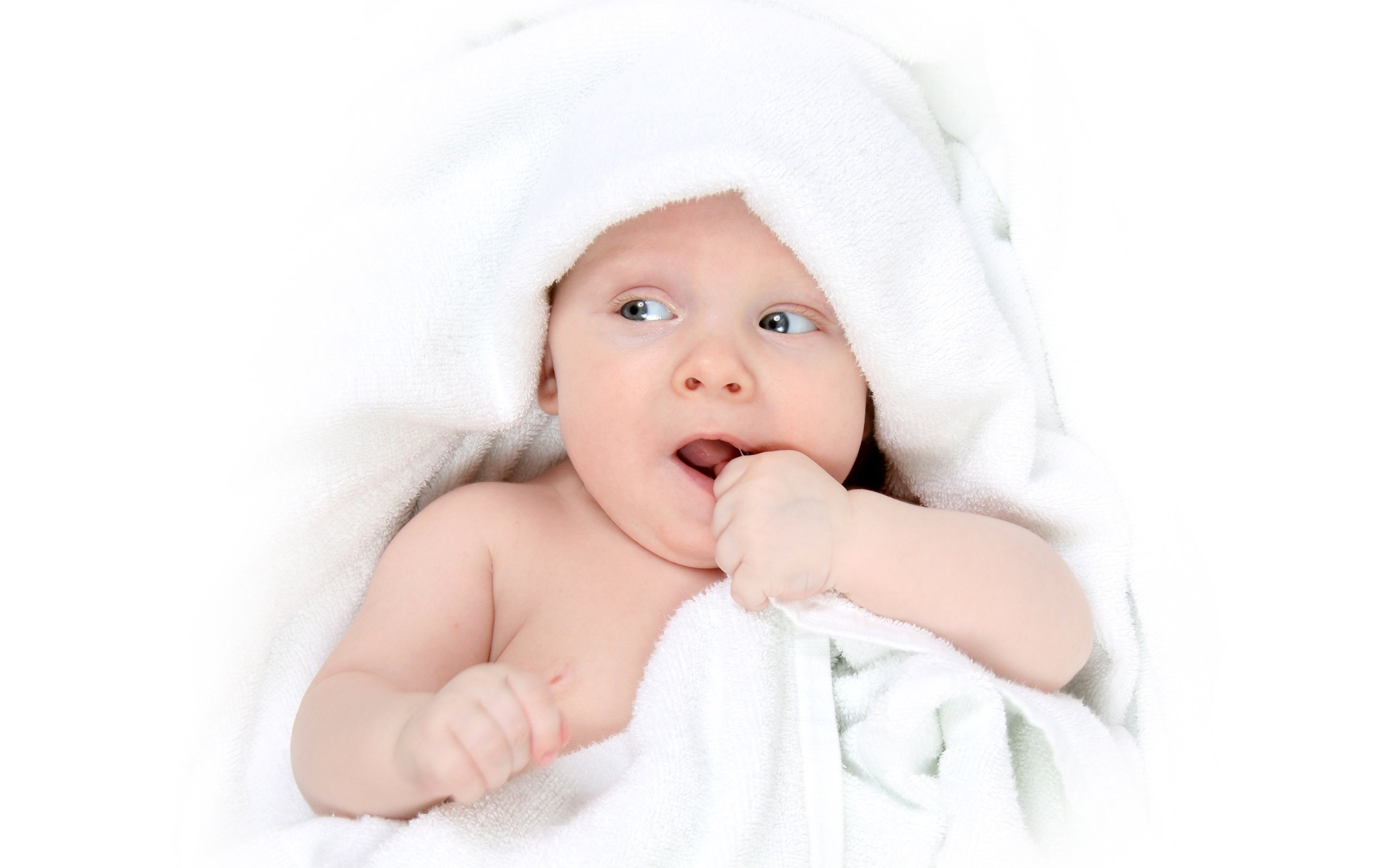 呼和浩特捐卵网试管婴儿成功率